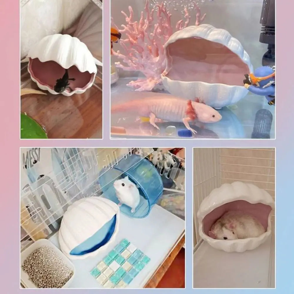 Fish Tank Shell Landscaping