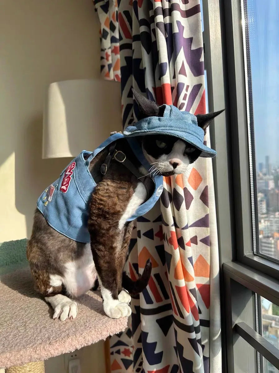 Fashion Cat hat Summer Sun Hats for Sphynx Kittens Open Ears Blue Cowboy Hats Adjustable Cap Cord for Devon Rex Cat Supplies
