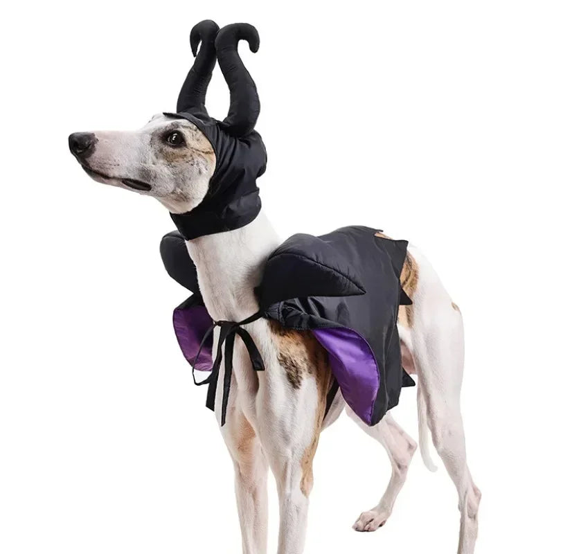 Halloween Witch-Shaped Costume