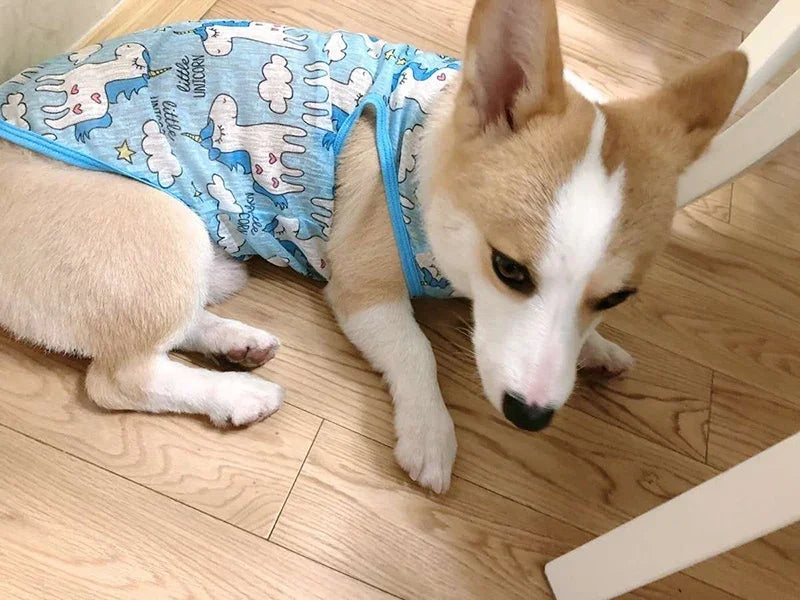 Sunscreen Clothes for Cats Summer