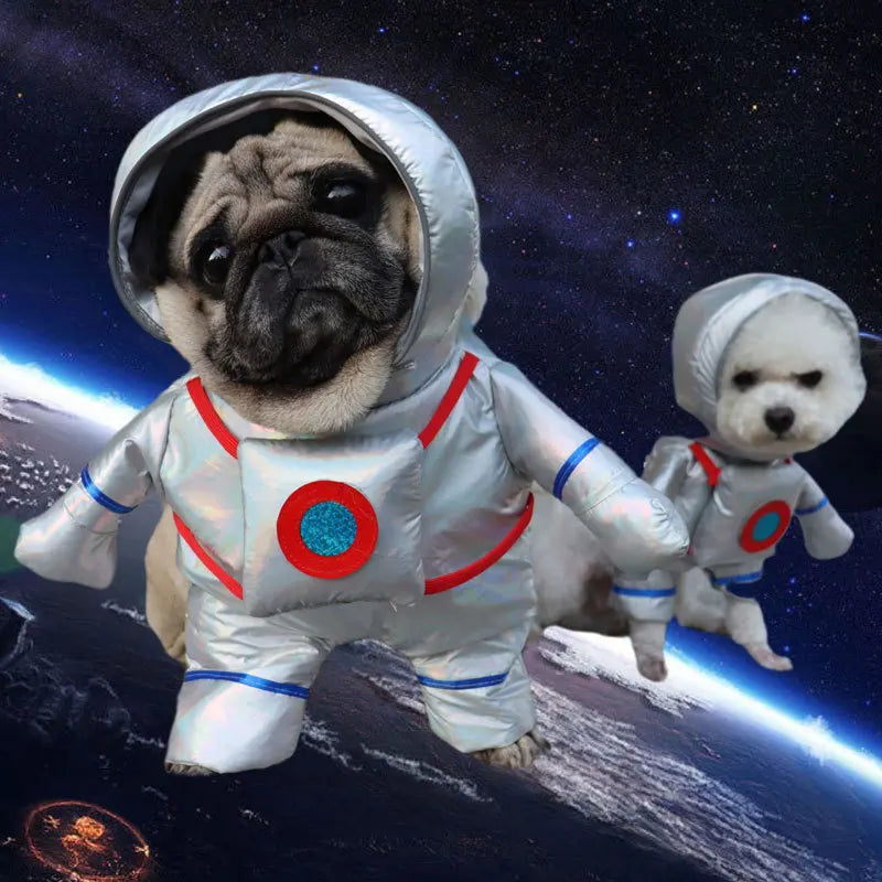 Pet Costume Clothes Suit