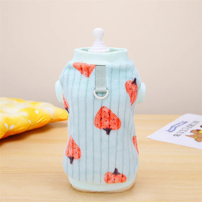 Korean Style Sphynx Cat Sweater with Buckle