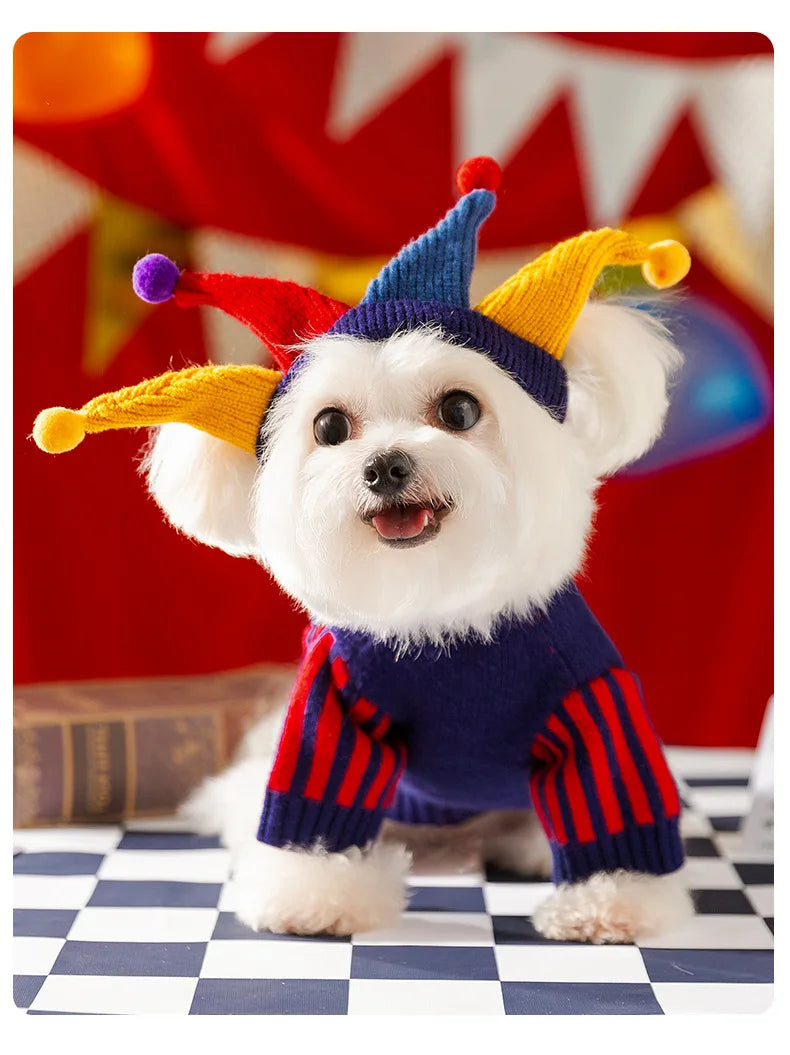 Cute Pet Dog Sweater
