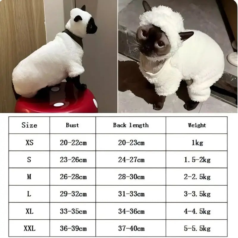 Hairless cat clothes