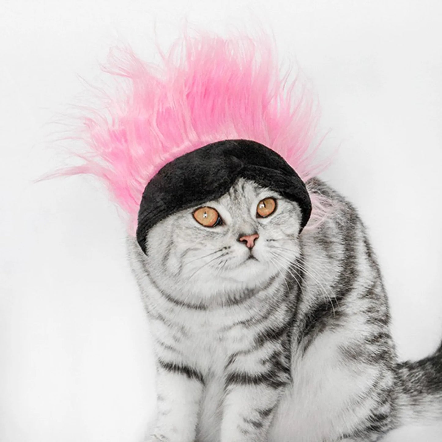 New Cool Pet Wigs