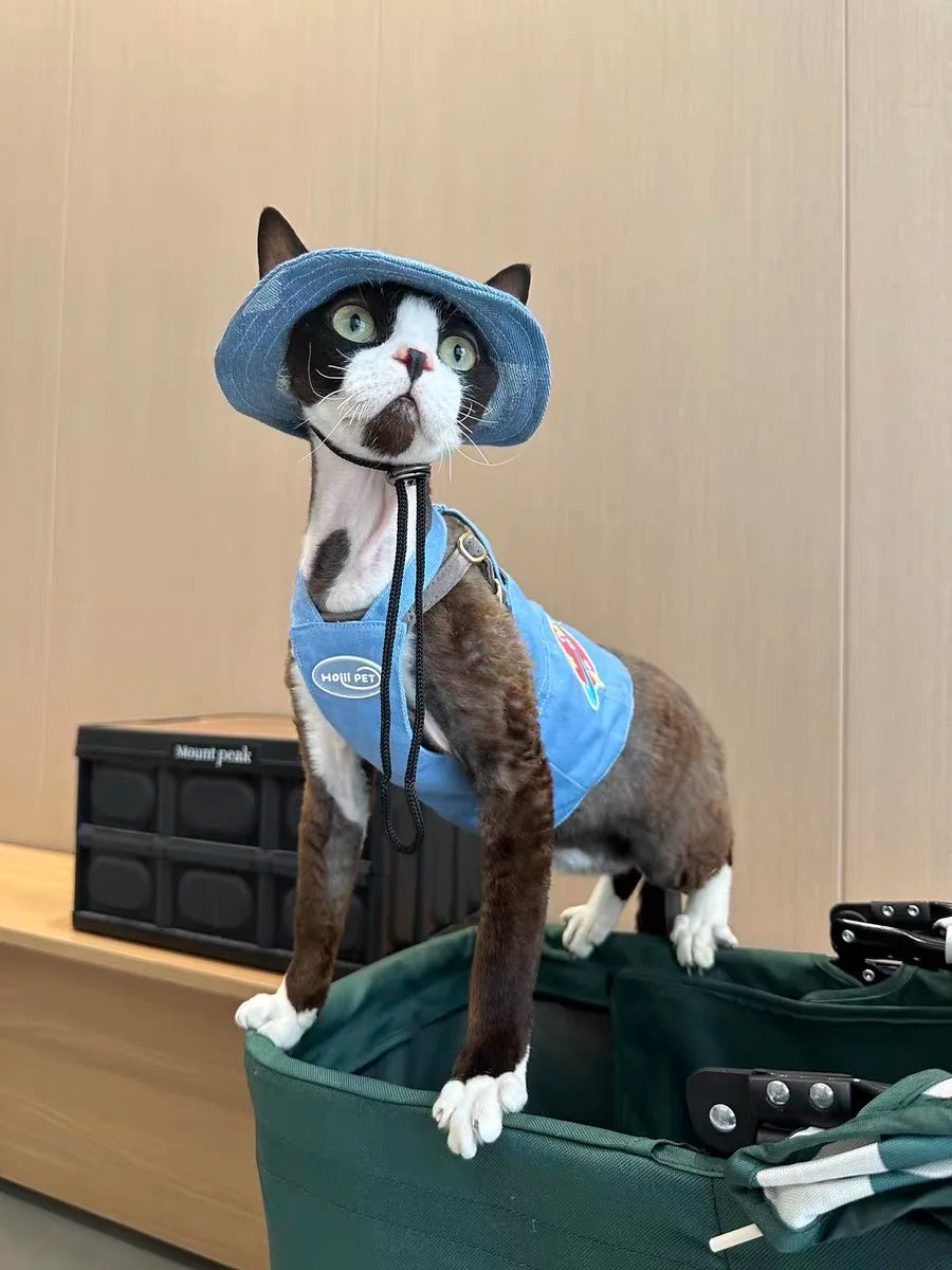 Fashion Cat hat Summer Sun Hats for Sphynx Kittens Open Ears Blue Cowboy Hats Adjustable Cap Cord for Devon Rex Cat Supplies
