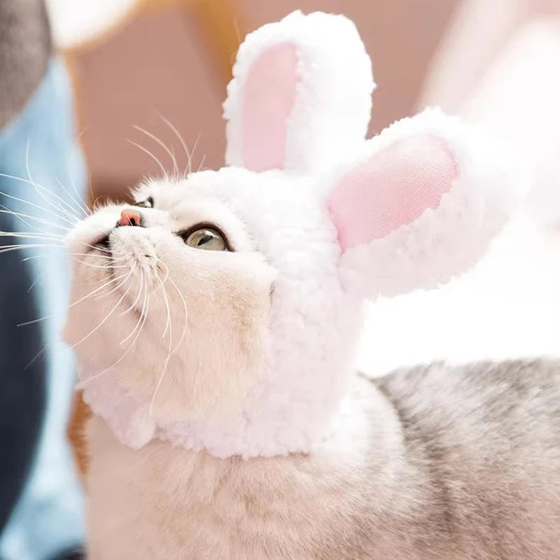 Cat Cosplay Dress Up Pet Hat Lion Mane