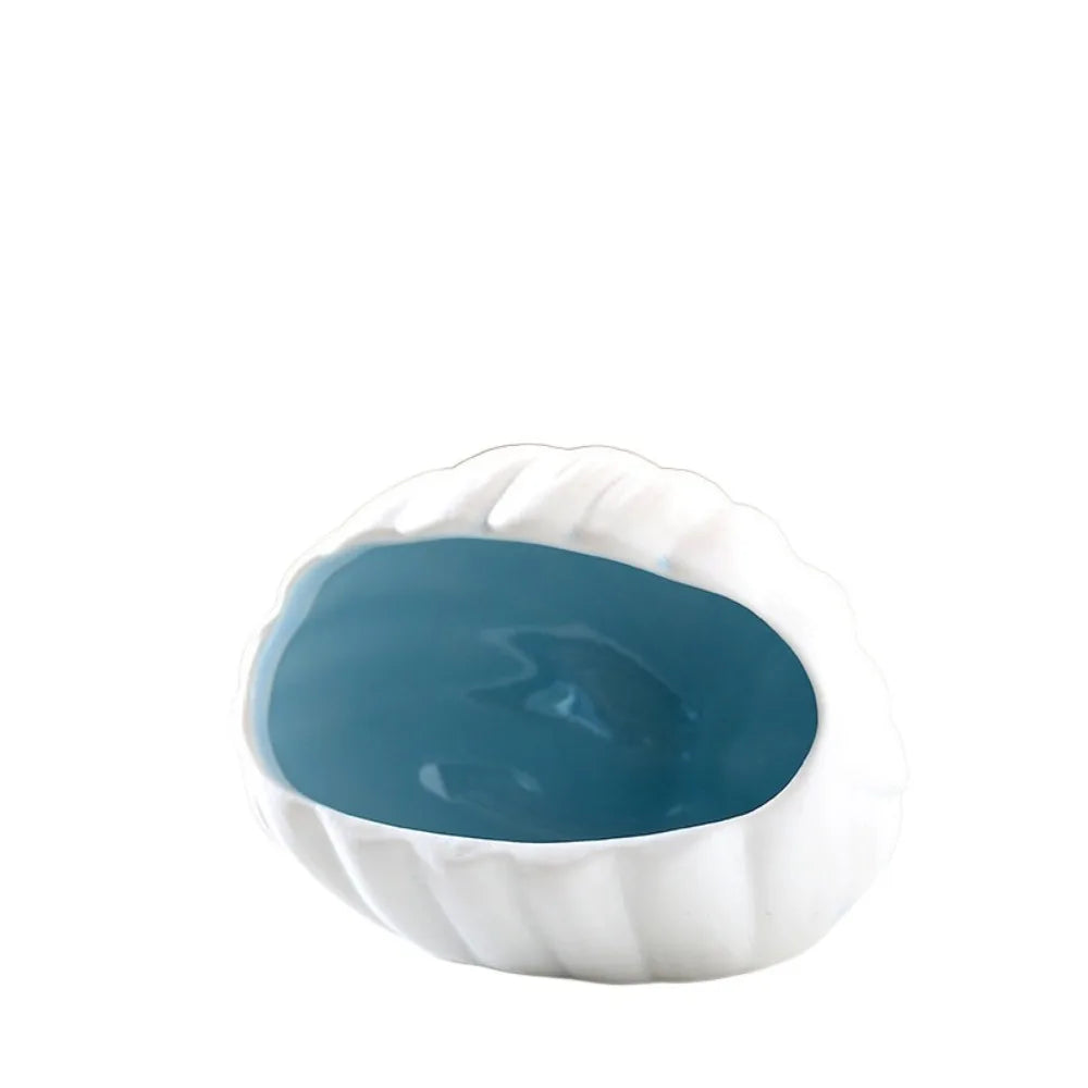 Fish Tank Shell Landscaping