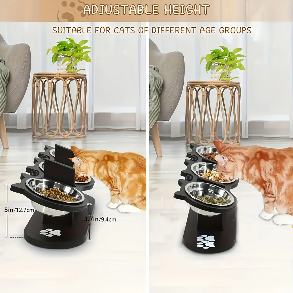 Cat 3 Bowls in 1