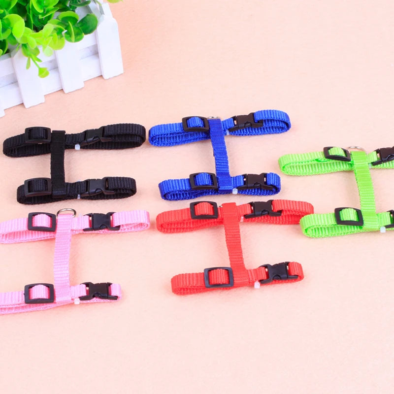Cat and dog leash I-shaped