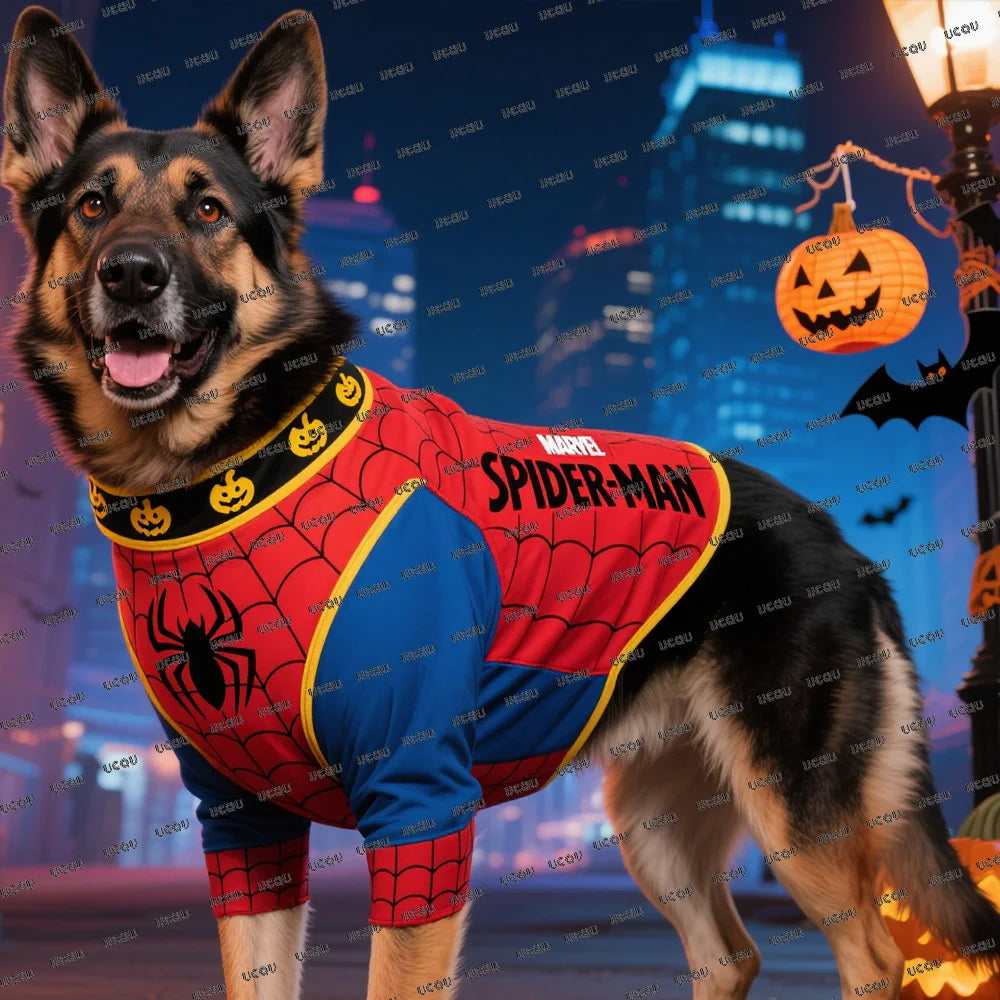 Disney Marvel Spider-Man Pattern