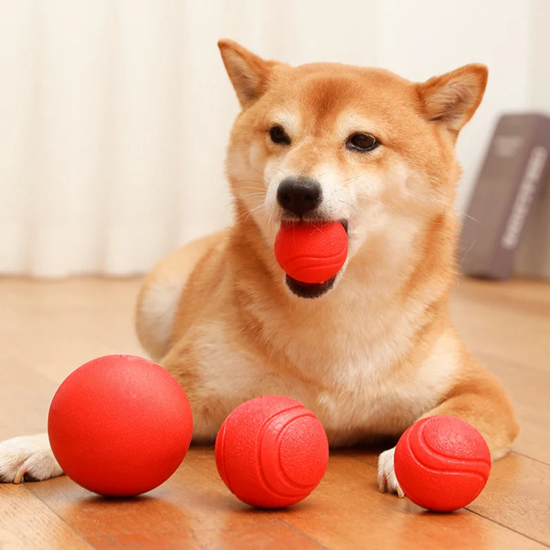 Indestructible Chew Proof Rubber Ball