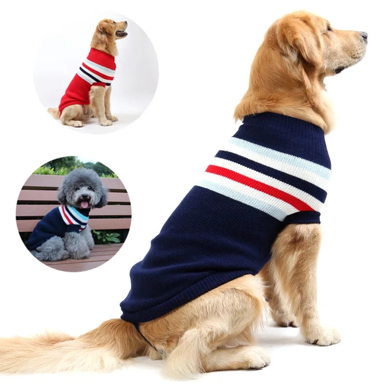 Big Dog Sweater Winter Warm