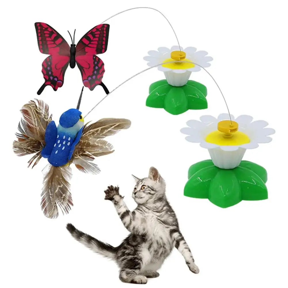 Electric Butterfly or Humming Bird Cat Toy