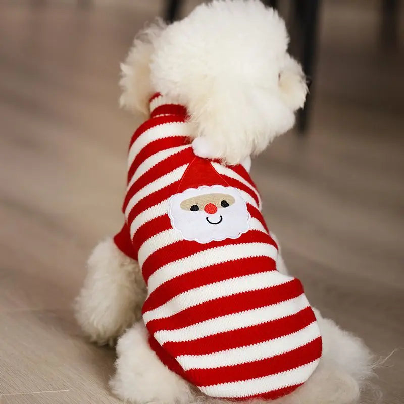 Dog Sweater Christmas