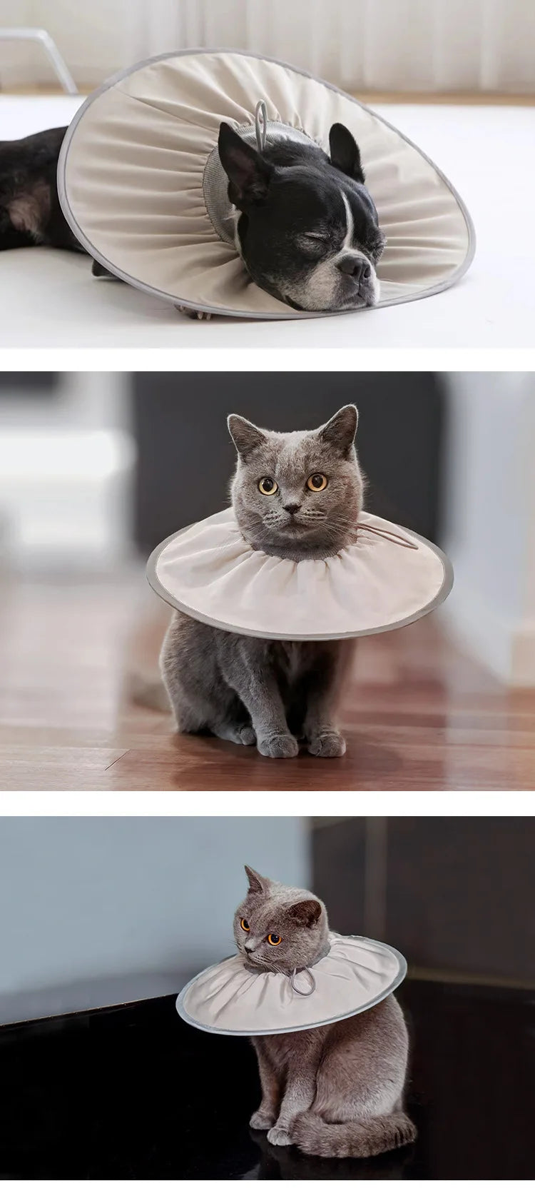 Pet Neutering Care Collar
