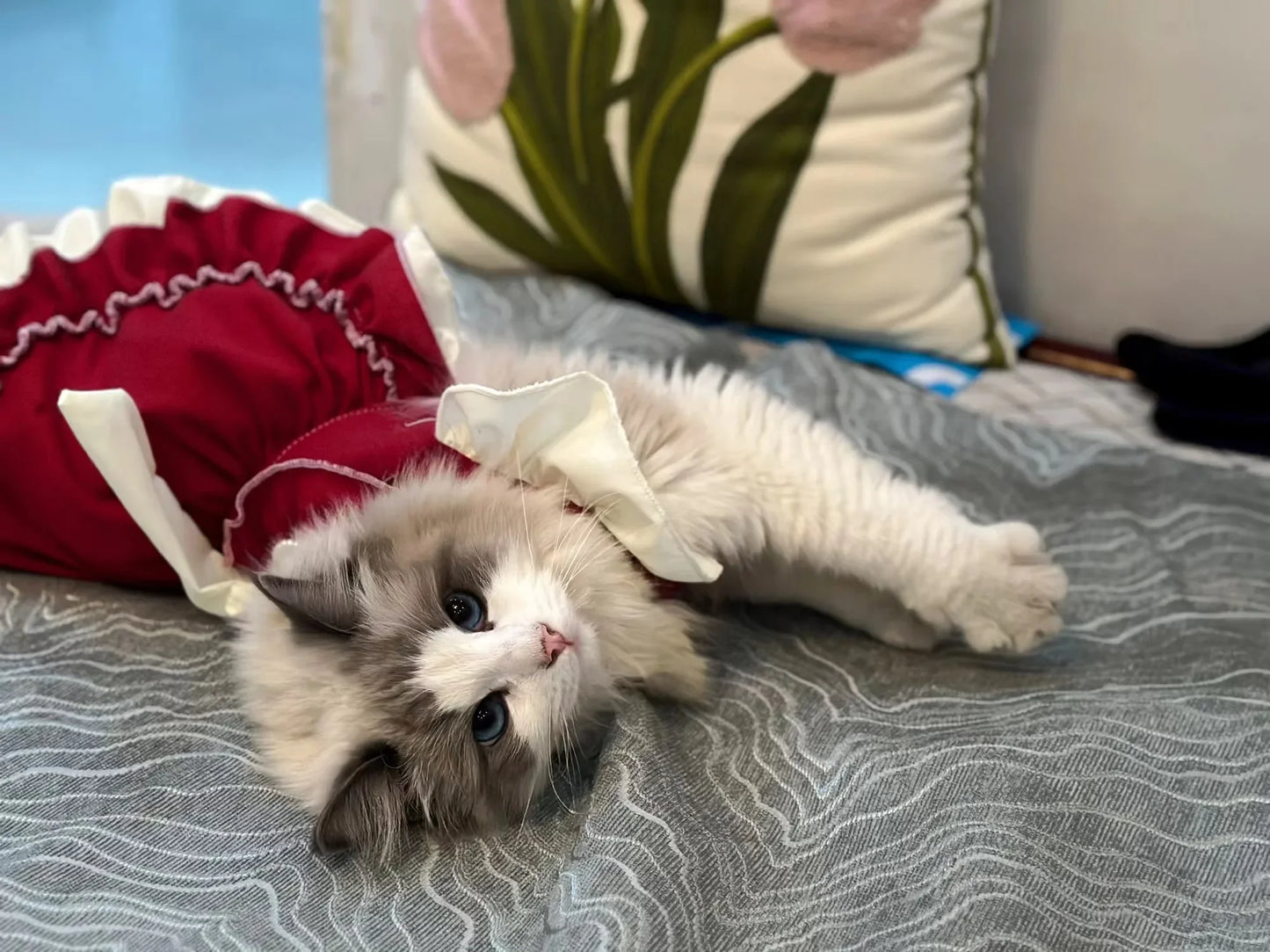 Cat Skirt & Bow Princess Skirt
