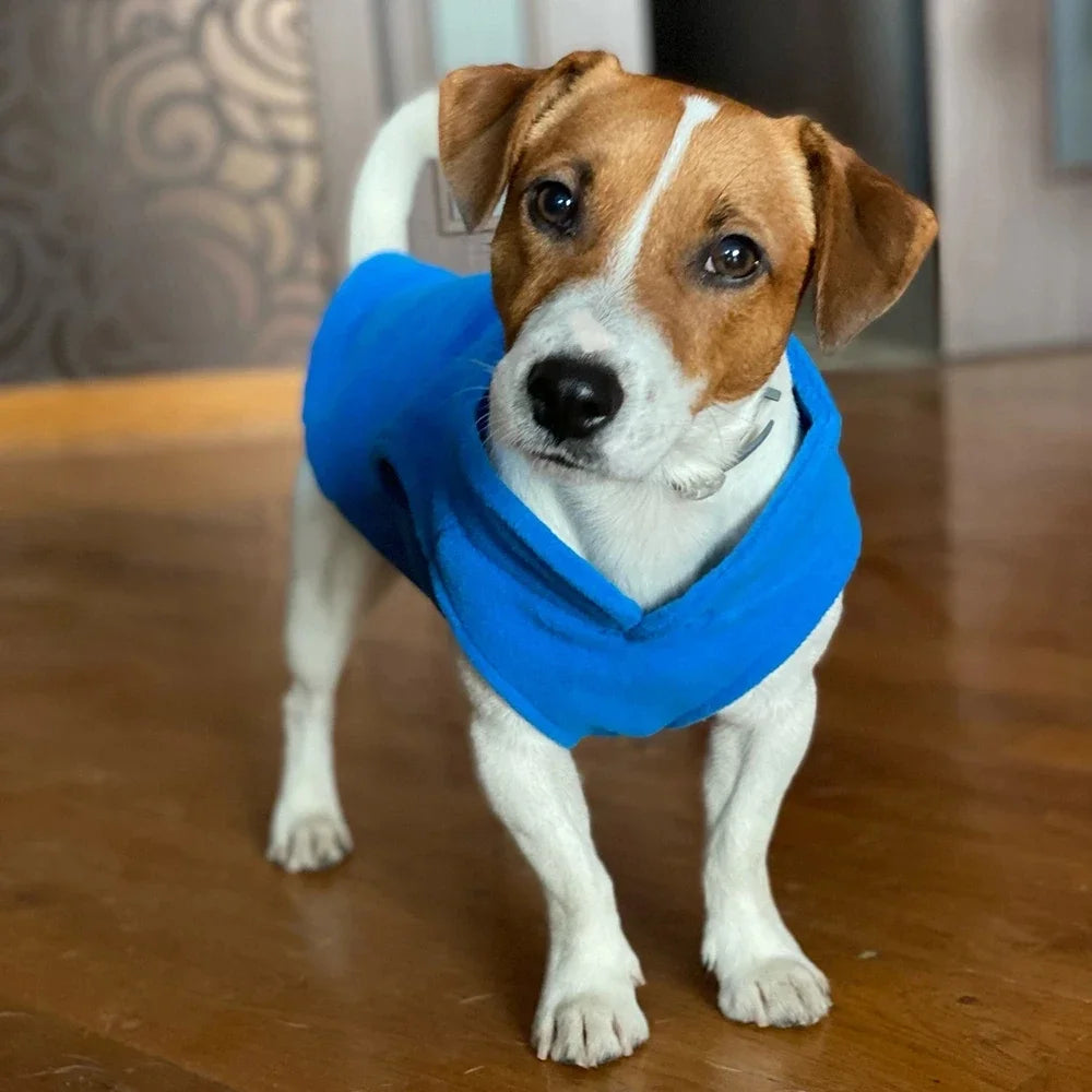 Pet Dog Jacket Vest With D-Ring
