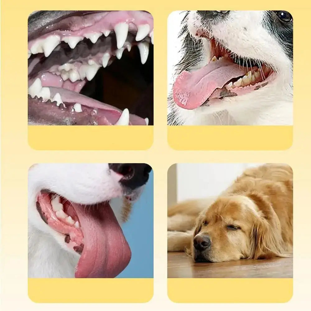 Pet Supplies Bite-resistant Dog Chew Toy