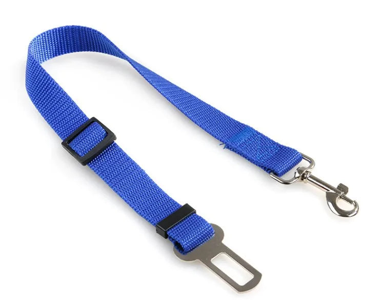 Car Seat Belt Buckle