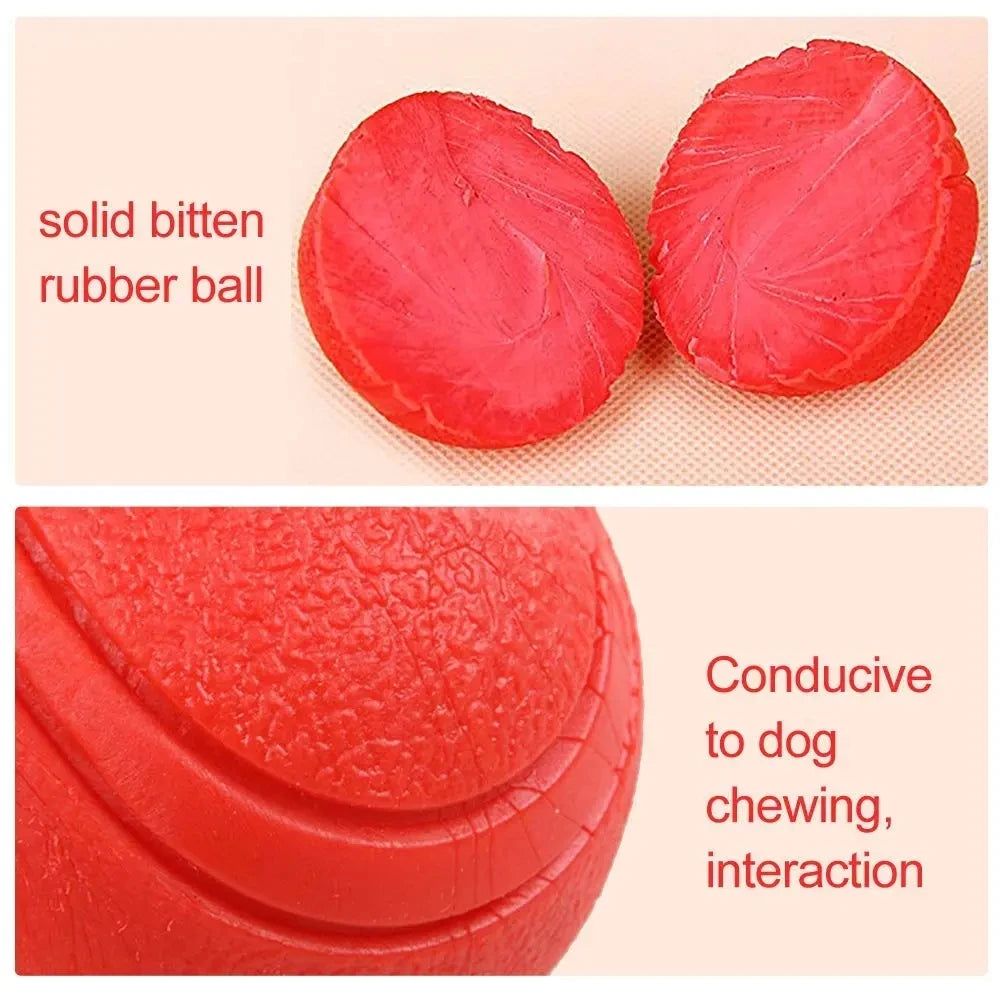 Indestructible Chew Proof Rubber Ball