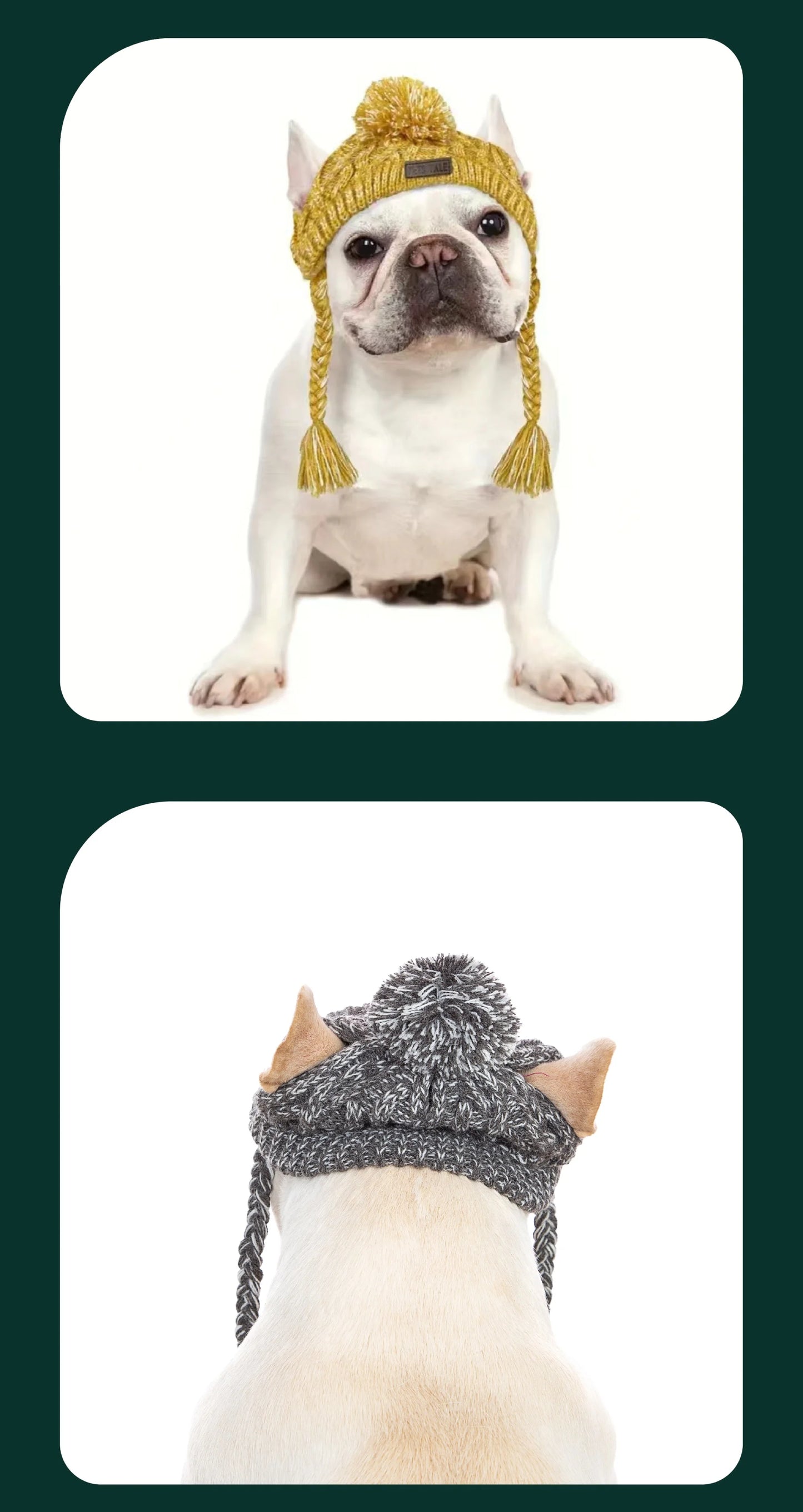 Winter Soft Dog Hats