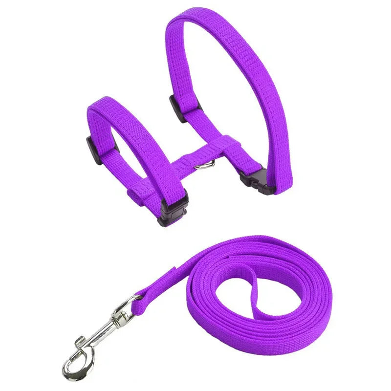 Escape-proof Small Dog Cat Harness Collar