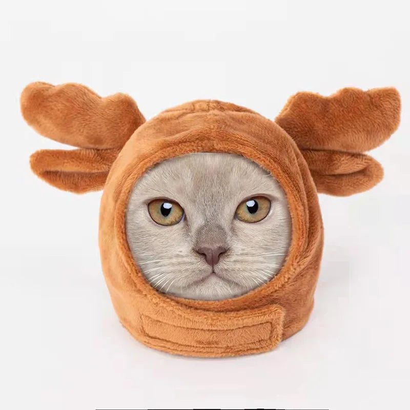 Christmas Festival Pet Hat