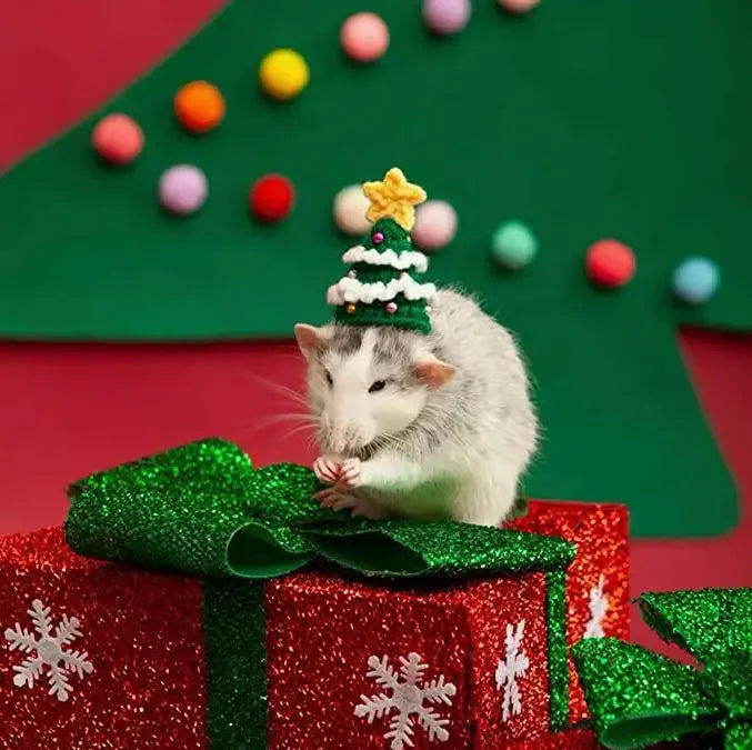 Hamster Christmas Costume
