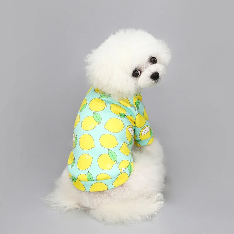 Dog Sweatshirt Pullover