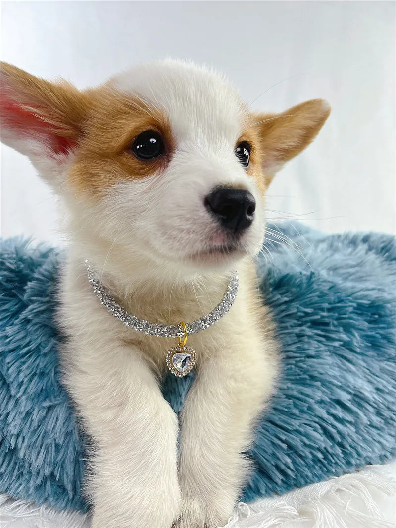 Crystal Cat Collar Heart Gem Pendant
