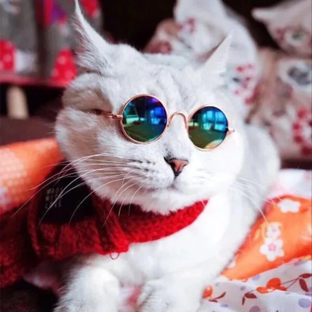 Pet Accessories Cat Glasses