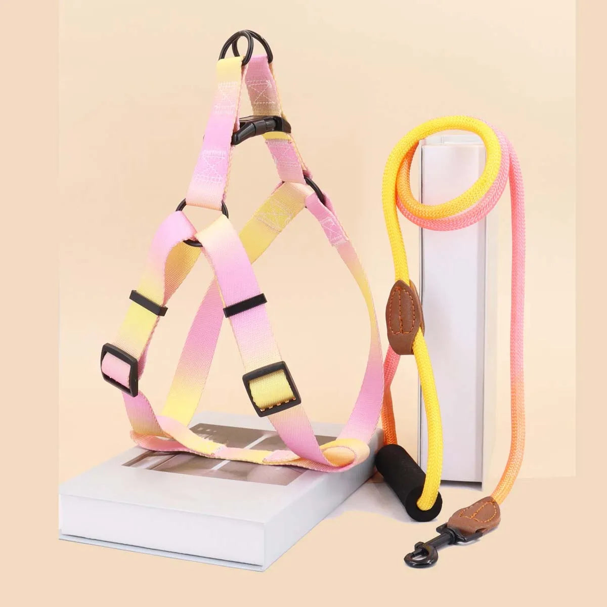 A set of colorful pet harness with leash