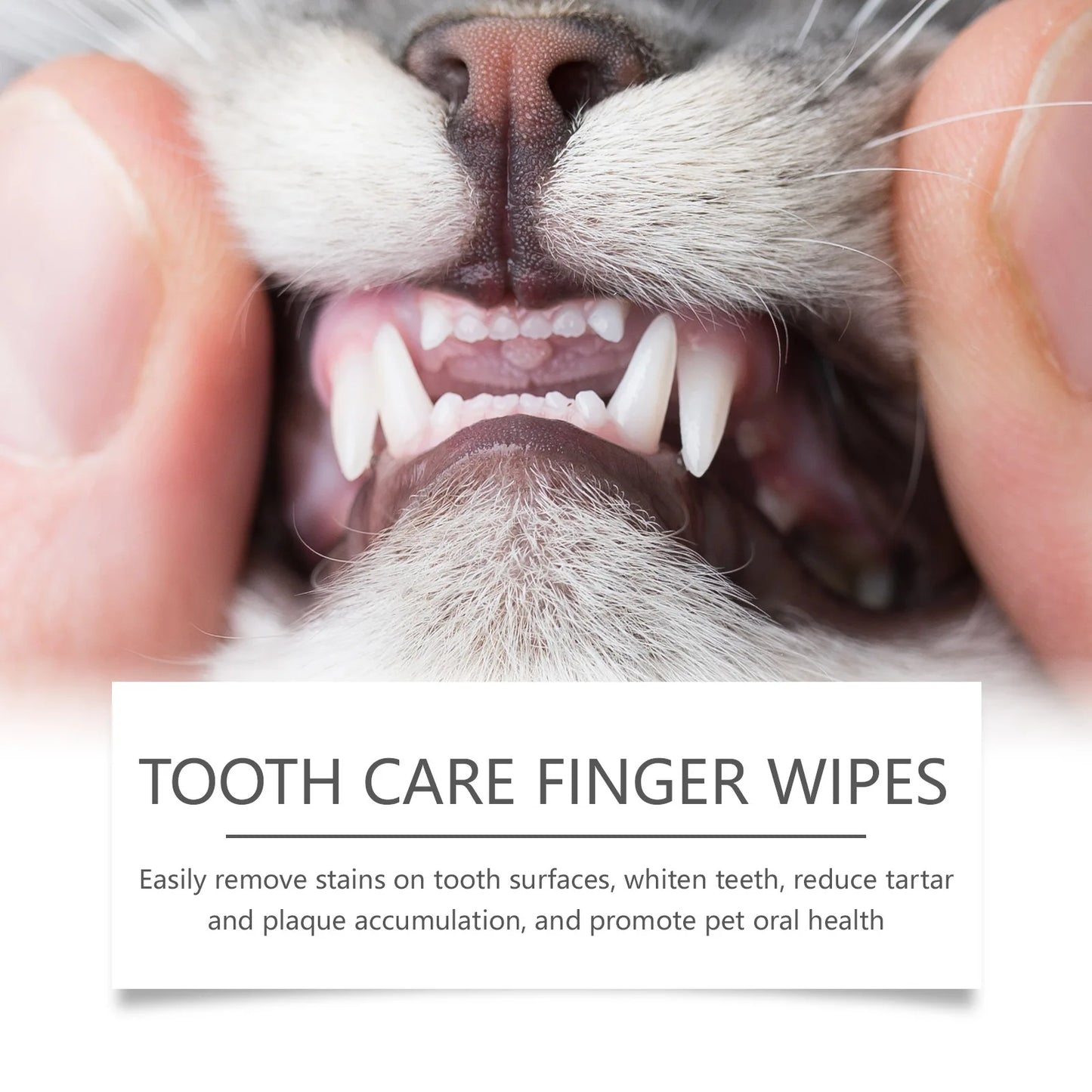 50pcs Pet Dental Care Finger Wipes Clean Stain Dog Cat Oral Care Toothbrush Wipes