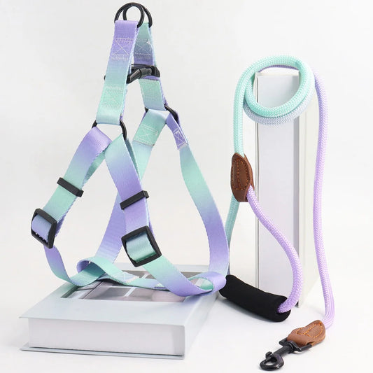 A set of colorful pet harness with leash