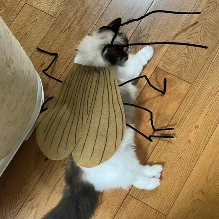 Pet Costume Cat Dog Cockroach