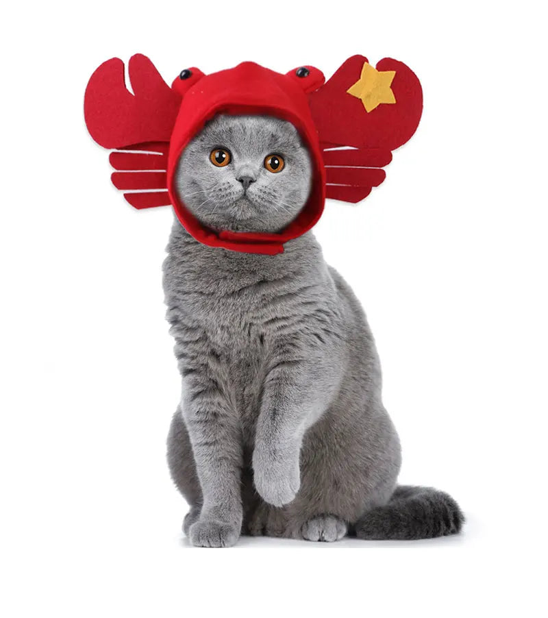 Christmas Festival Pet Hat