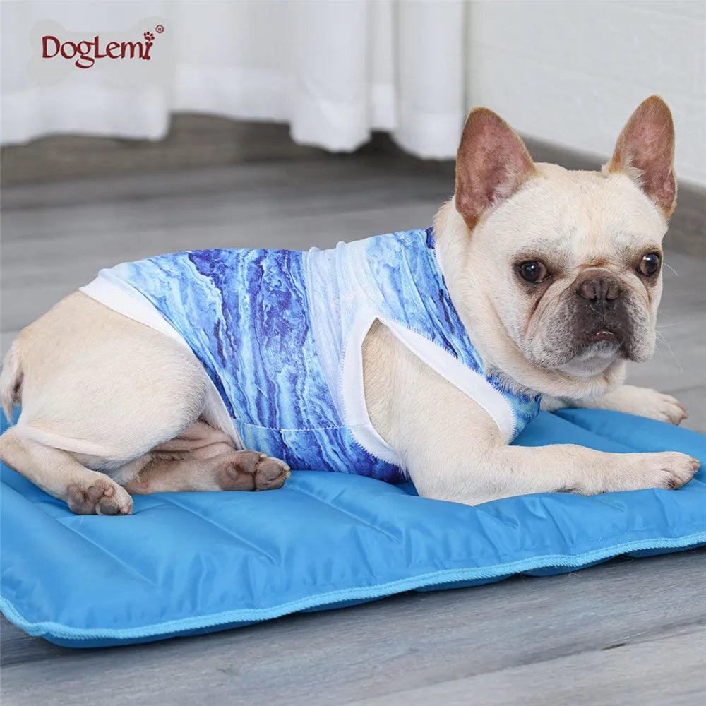 Dog Cooling Vest Summer