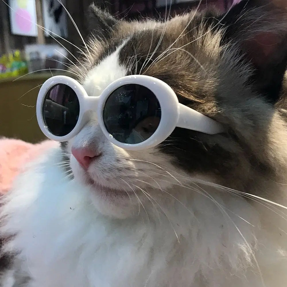 Cat Cool Fashion Round Glasses