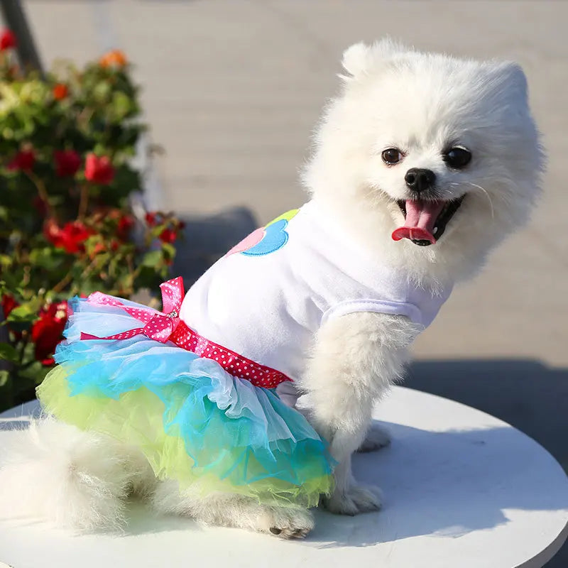 Spring Dog Lace Dress