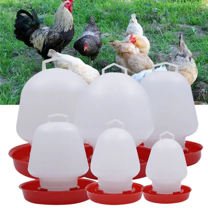 Plastic Poultry Drinker