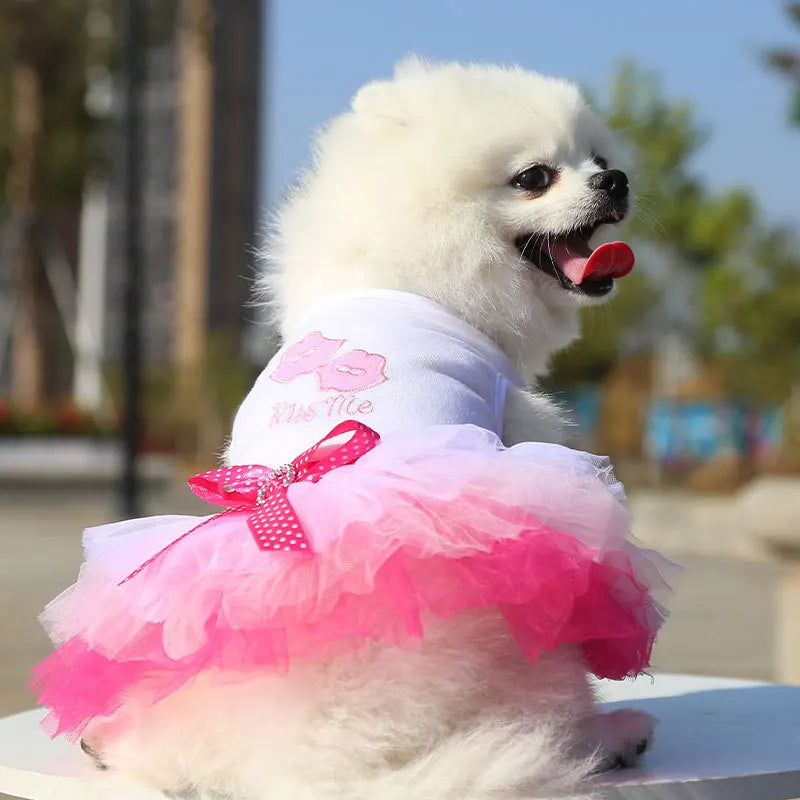 Spring Dog Lace Dress
