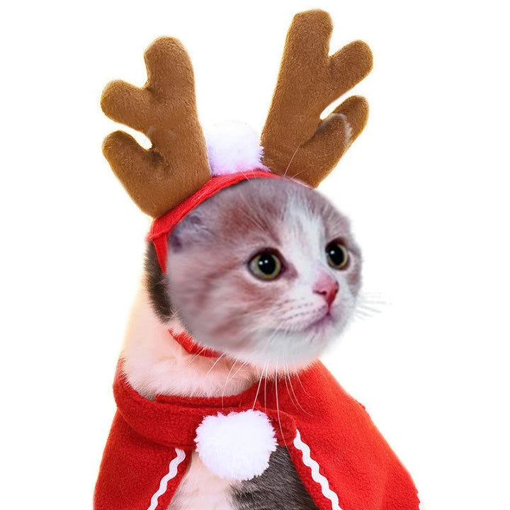 Christmas Hat Halloween Pet Costume