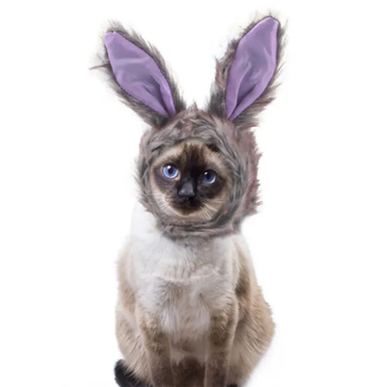 Christmas Festival Pet Hat