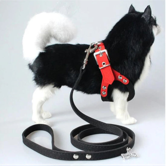 New Dog Harness Soft Leather Dog Harness+ Leash