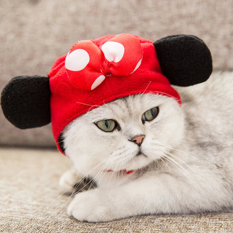 Christmas Festival Pet Hat