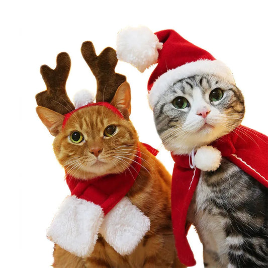Christmas Hat Halloween Pet Costume
