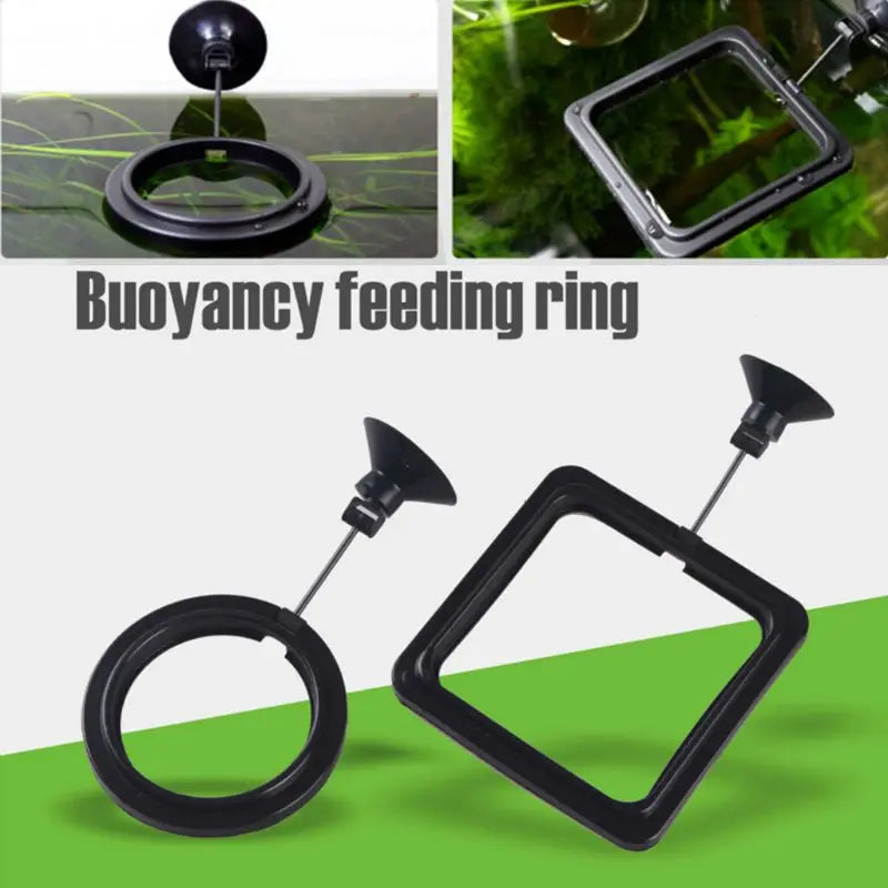 Aquarium Fish Feeding Ring