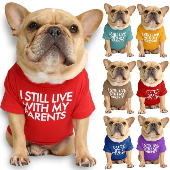 Quality Summer/Spring Dog Clothes