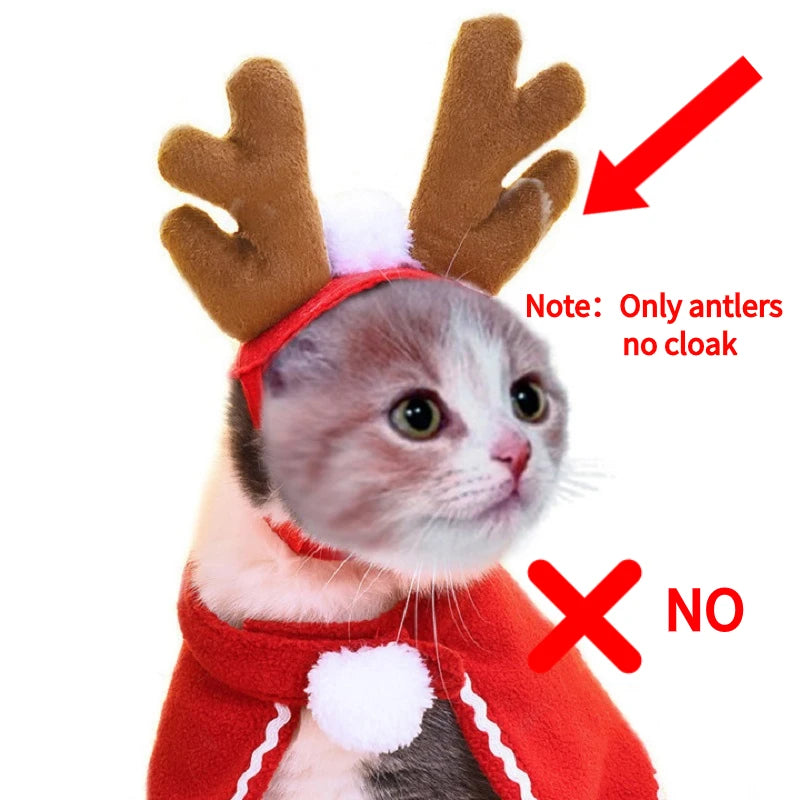 Christmas Hat Halloween Pet Costume